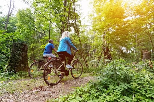 Two people riding bicycles on a forest trail surrounded by greenery. Two people riding bicycles on a forest trail surrounded by greenery.